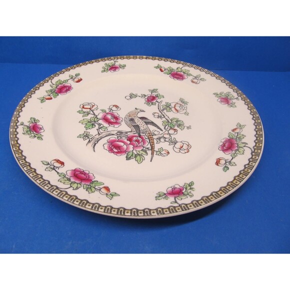 F. Winkle & Co. Wheildon Ware Pheasant Pattern Antique 10 1/2" Dinner Plate READ - Picture 6 of 7